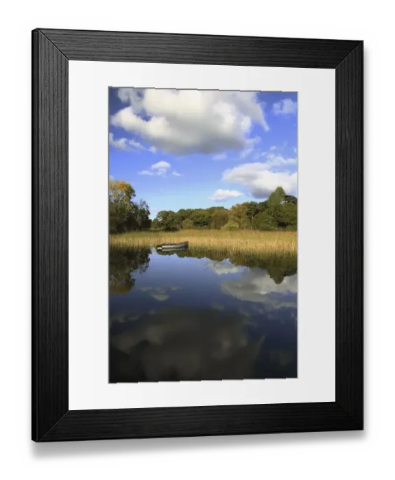 Framed Print : a boat sitting in the water along the tall grass in killarney national park in munster region Framed Print : a boat sitting in the water along the tall grass in killarney national park in munster region