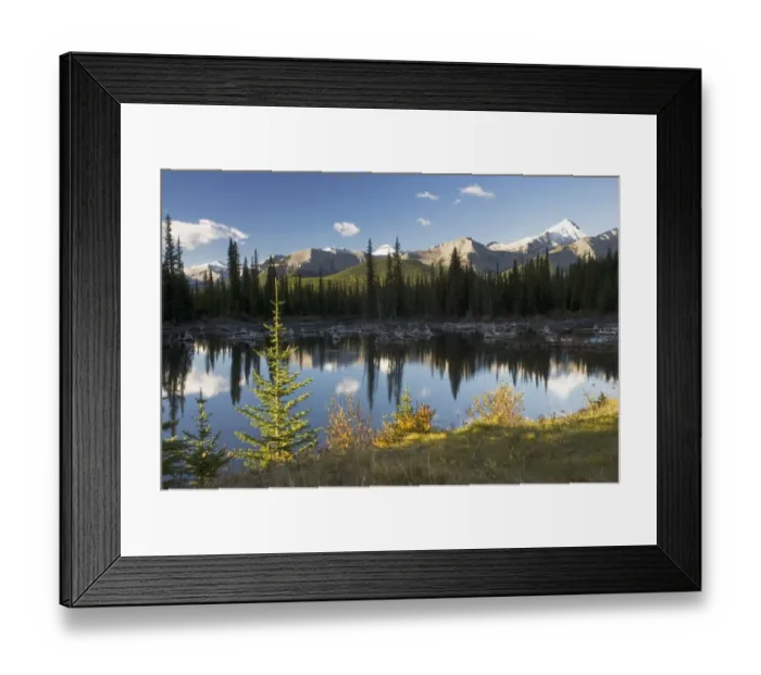 Framed Print : sunrise in autumn in kananaskis Framed Print : sunrise in autumn in kananaskis