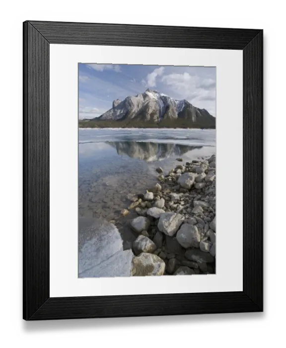 Framed Print : Reflection Of A Mountain In Frozen Abraham Lake Framed Print : Reflection Of A Mountain In Frozen Abraham Lake