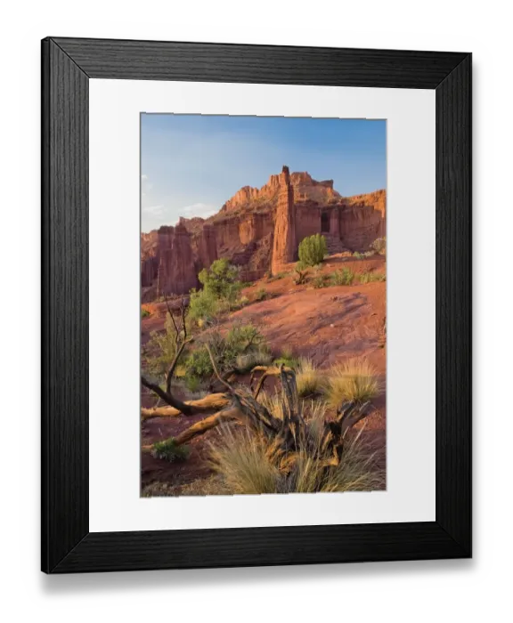 Framed Print : The Fisher Towers