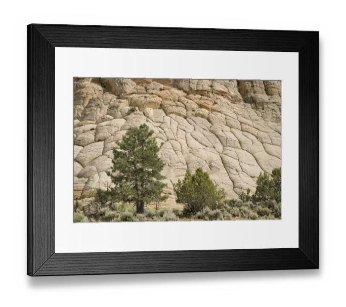 Framed Print : Cross-Bedded Sandstone On A Petrified Sand Dune At Grand Staircase-Escalante National Monument Framed Print : Cross-Bedded Sandstone On A Petrified Sand Dune At Grand Staircase-Escalante National Monument