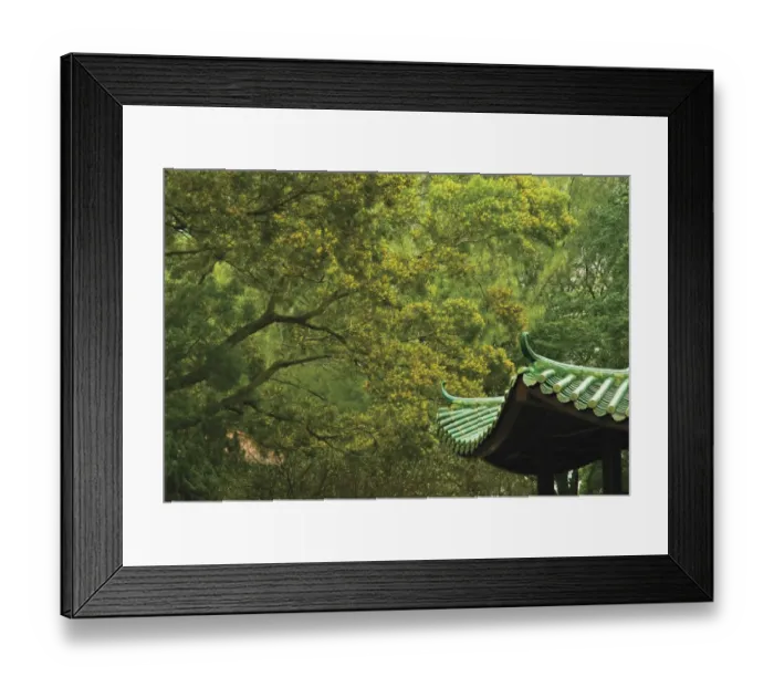 Framed Print : Blooming mimosa, and pagoda in Hong Kong, China Framed Print : Blooming mimosa, and pagoda in Hong Kong, China