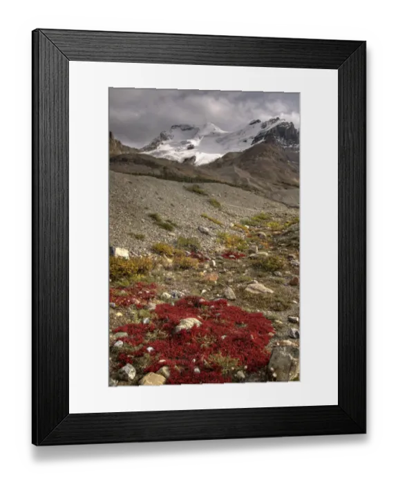 Framed Print : Mount Athabasca, Columbia Icefield, Jasper National Park, Alberta, Canada Framed Print : Mount Athabasca, Columbia Icefield, Jasper National Park, Alberta, Canada