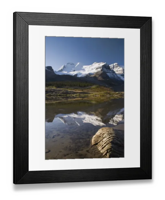 Framed Print : Mount Athabasca, Columbia Icefield, Jasper National Park, Alberta, Canada Framed Print : Mount Athabasca, Columbia Icefield, Jasper National Park, Alberta, Canada