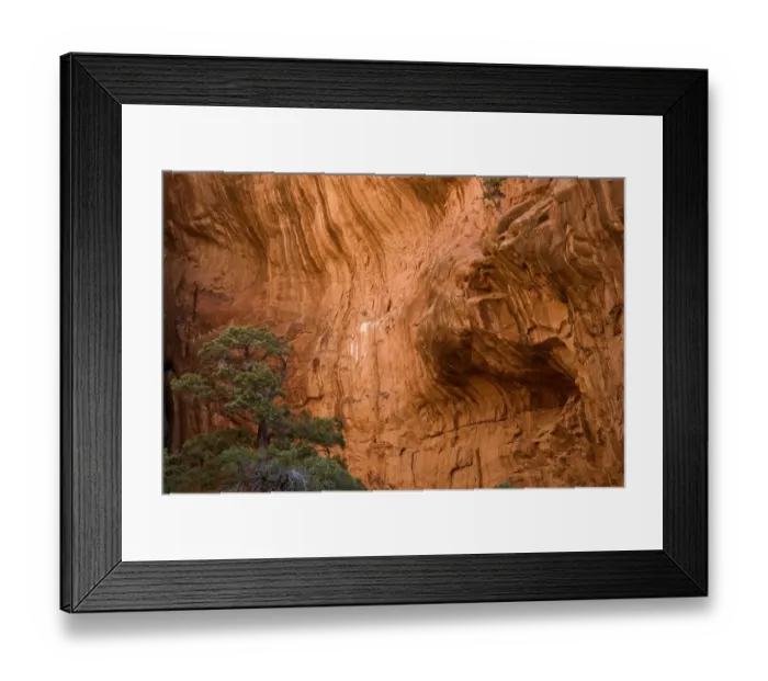 Framed Print : Canyon wall, Arches National Park, Utah, USA Framed Print : Canyon wall, Arches National Park, Utah, USA