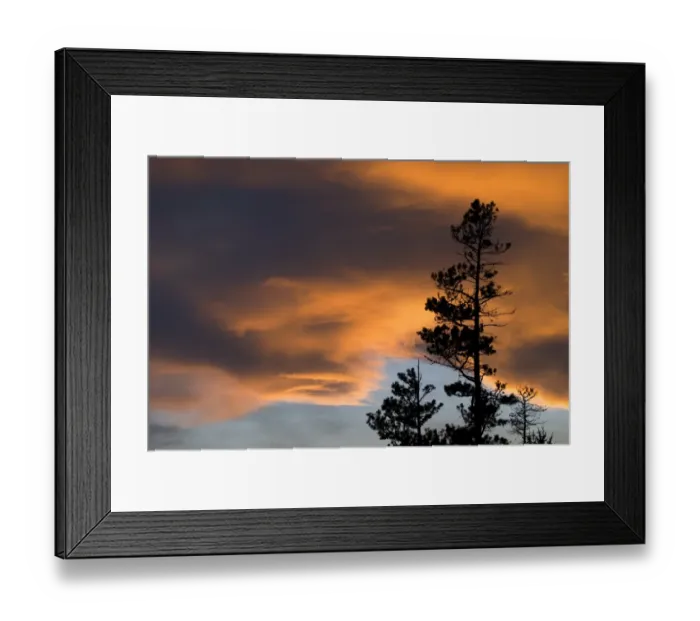 Framed Print : Cloudy sky at sunset with trees Framed Print : Cloudy sky at sunset with trees