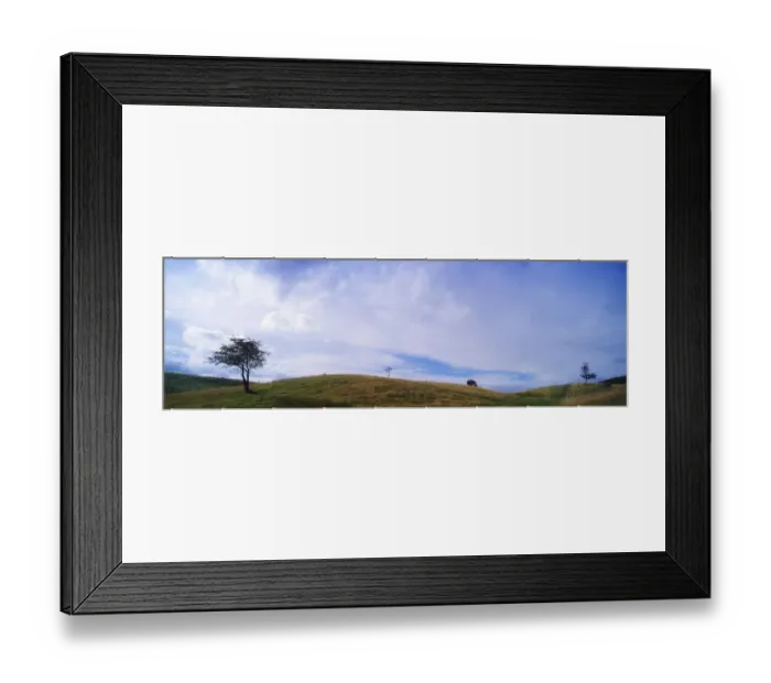 Framed Print : Phoenix Park, Dublin, County Dublin, Ireland Framed Print : Phoenix Park, Dublin, County Dublin, Ireland