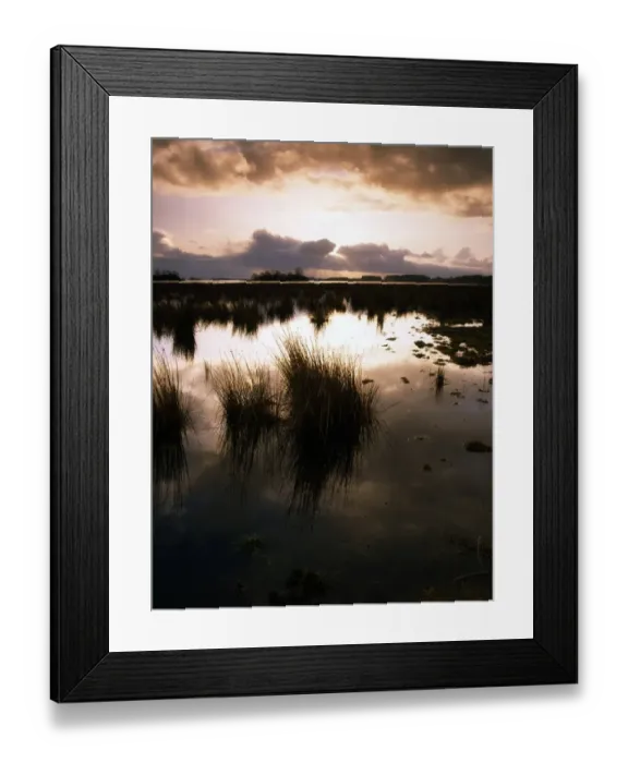 Framed Print : Lough Beg, County Antrim, Ireland, Near Toomebridge Framed Print : Lough Beg, County Antrim, Ireland, Near Toomebridge
