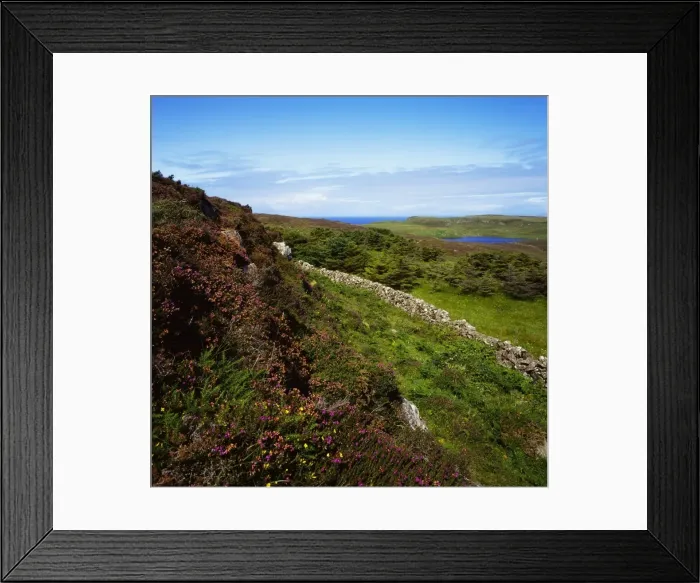 Framed Print : Co Antrim, Rathlin Island, Ireland Framed Print : Co Antrim, Rathlin Island, Ireland
