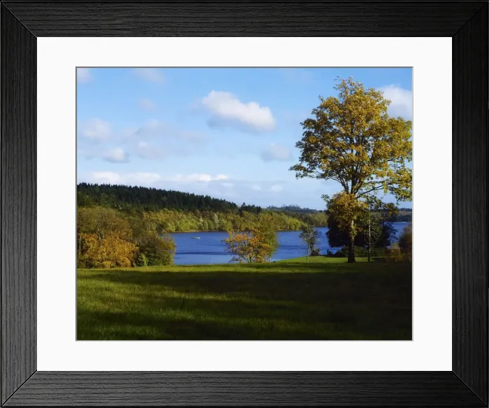 Framed Print : Co Cavan, Killykeen Forest Park, Ireland Framed Print : Co Cavan, Killykeen Forest Park, Ireland