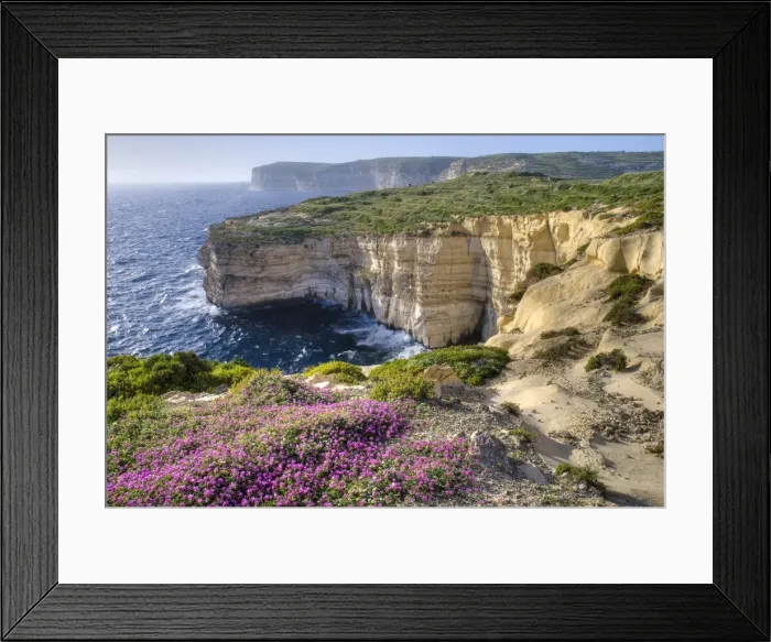 Framed Print : Cliffs with wildflowers Framed Print : Cliffs with wildflowers