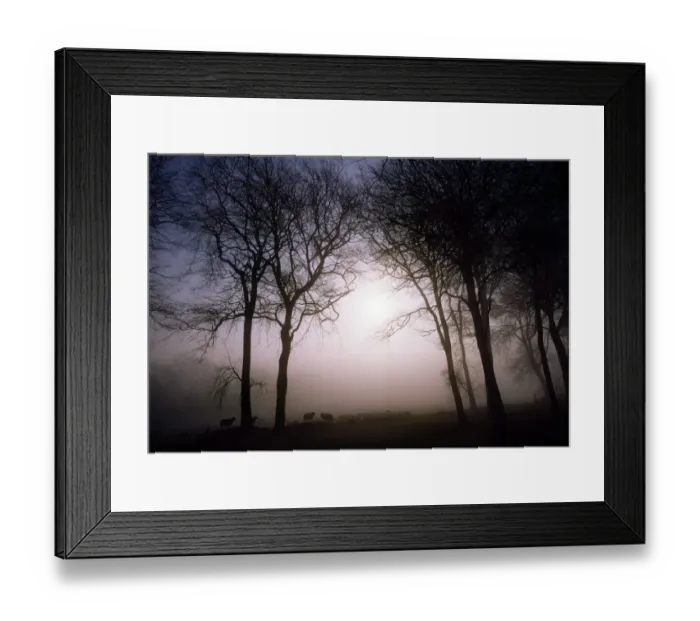 Framed Print : Morning mist, Co Wicklow, Ireland Framed Print : Morning mist, Co Wicklow, Ireland