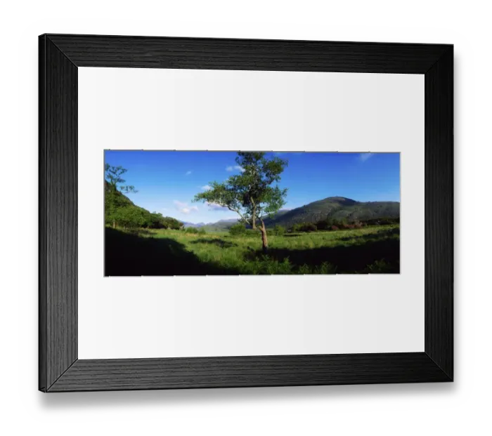 Framed Print : Co Kerry, Killarney, Carrantuohill and the Purple Mountains, Ireland Framed Print : Co Kerry, Killarney, Carrantuohill and the Purple Mountains, Ireland