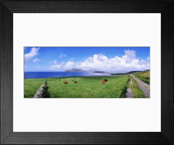 Framed Print : Valentia Island, Ring Of Kerry, County Kerry, Ireland