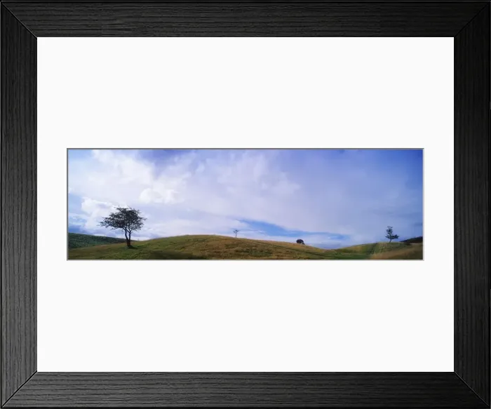 Framed Print : Phoenix Park, Dublin, County Dublin, Ireland Framed Print : Phoenix Park, Dublin, County Dublin, Ireland