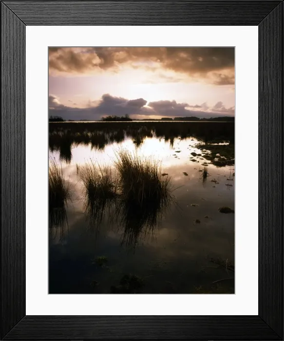 Framed Print : Lough Beg, County Antrim, Ireland, Near Toomebridge Framed Print : Lough Beg, County Antrim, Ireland, Near Toomebridge