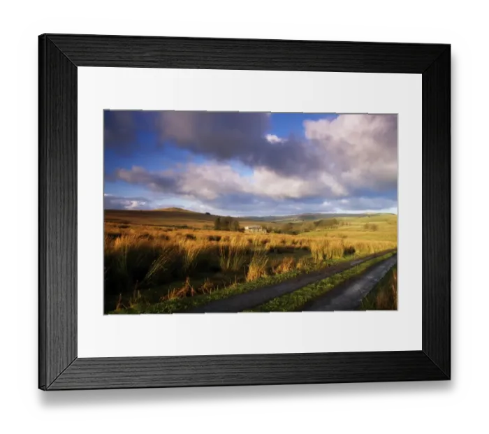 Framed Print : County Antrim rural field Framed Print : County Antrim rural field
