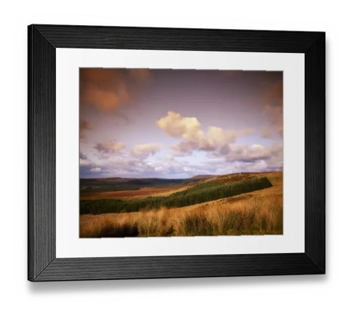 Framed Print : Co Leitrim, forestry land near Ballinamore, Ireland Framed Print : Co Leitrim, forestry land near Ballinamore, Ireland