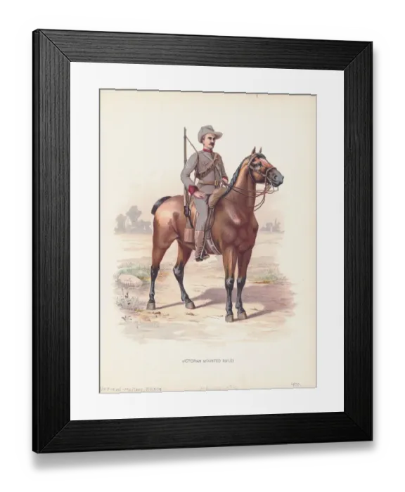 Framed Print : Victorian Mounted Rifles Soldier Framed Print : Victorian Mounted Rifles Soldier