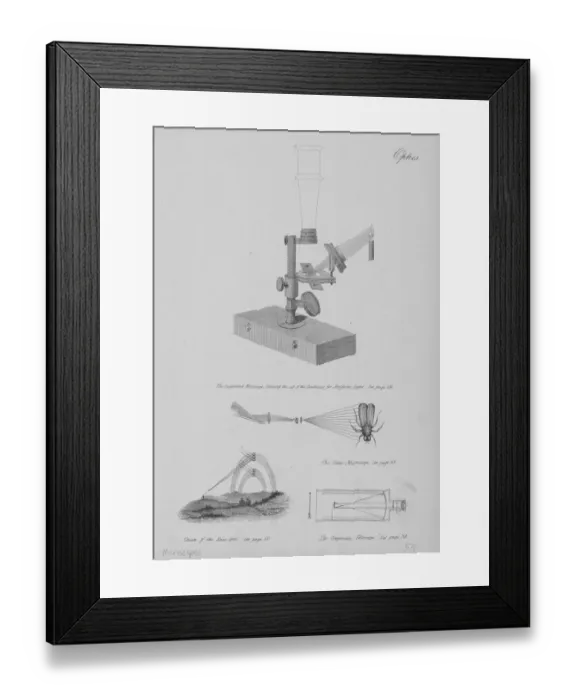 Framed Print : Compound Microscope Framed Print : Compound Microscope