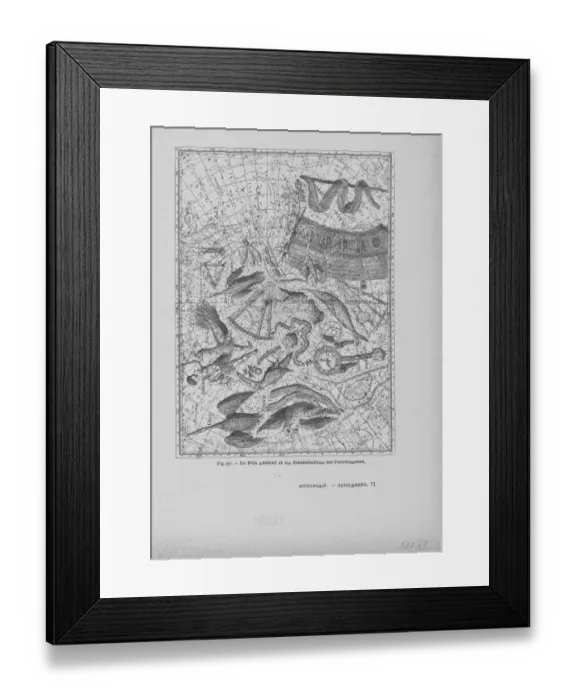 Framed Print : Constellations in The Southern Hemisphere Framed Print : Constellations in The Southern Hemisphere
