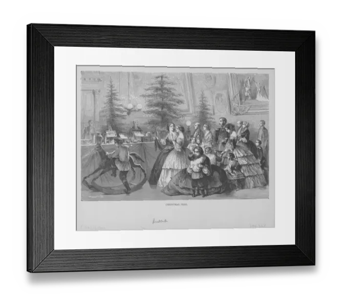 Framed Print : Christmas Tree Celebrations Framed Print : Christmas Tree Celebrations
