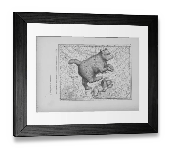 Framed Print : Constellations Ursa Major And Leo Minor Framed Print : Constellations Ursa Major And Leo Minor
