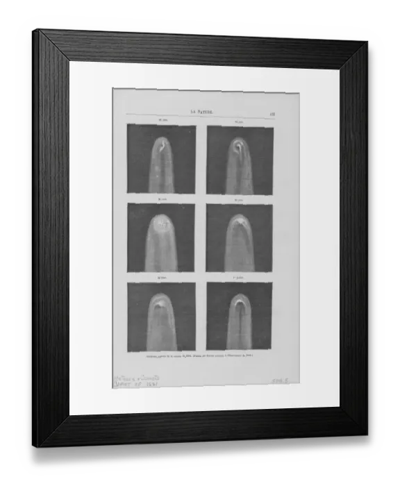 Framed Print : The Great Comet Of 1881 Framed Print : The Great Comet Of 1881