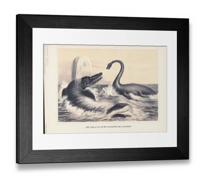 Framed Print : Illustration of Ichthyosaurus And Plesiosaurus Framed Print : Illustration of Ichthyosaurus And Plesiosaurus