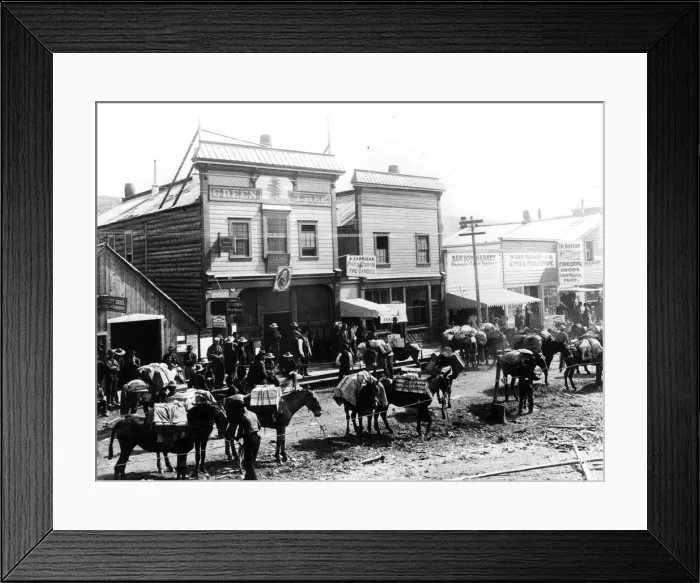 Framed Print : Barlett Brothers Built Pack Train of Horses In Alaska Framed Print : Barlett Brothers Built Pack Train of Horses In Alaska