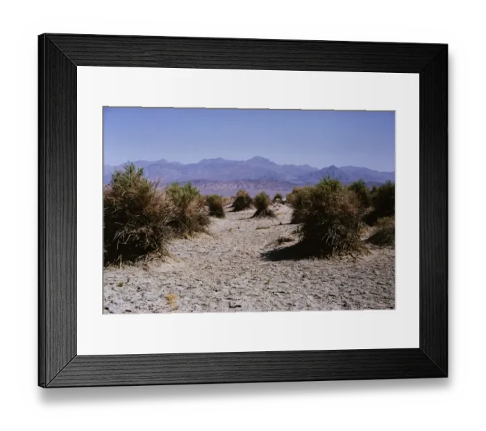 Framed Print : Devils Corn Patch
