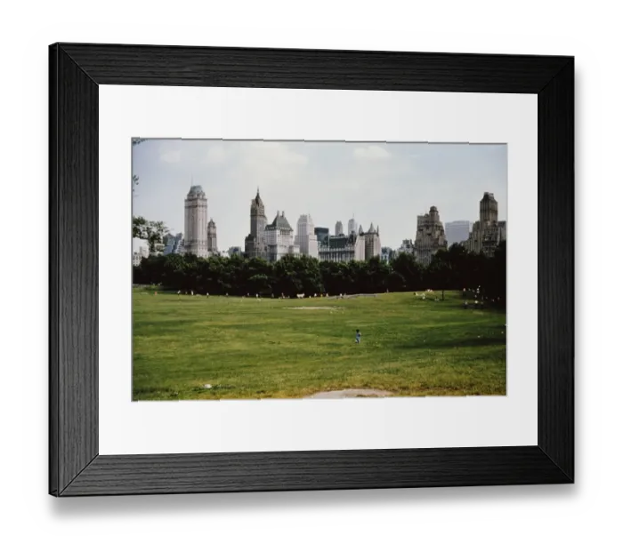 Framed Print : Central Park Framed Print : Central Park