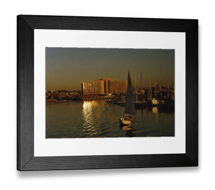 Framed Print : San Diego Marina