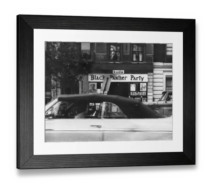Framed Print : Harlem Panther HQ Framed Print : Harlem Panther HQ