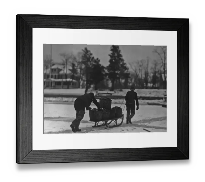 Framed Print : Oyster Catch Framed Print : Oyster Catch