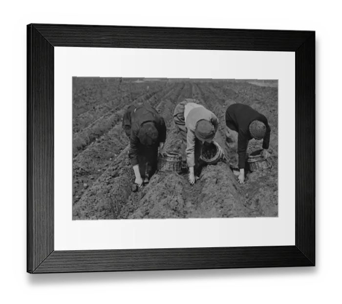 Framed Print : Women War Workers Framed Print : Women War Workers