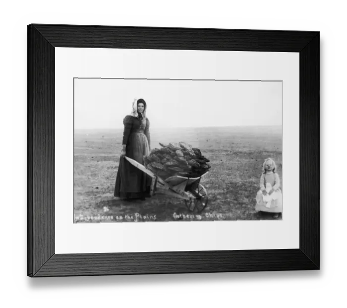 Framed Print : Ada McColl Framed Print : Ada McColl