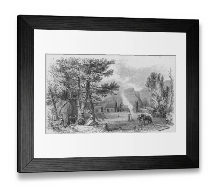 Framed Print : The Settlers Framed Print : The Settlers