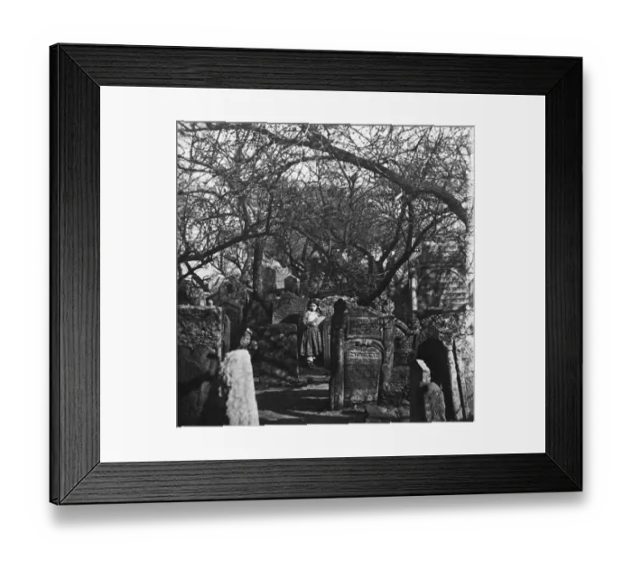 Framed Print : Old Jewish Cemetery Framed Print : Old Jewish Cemetery