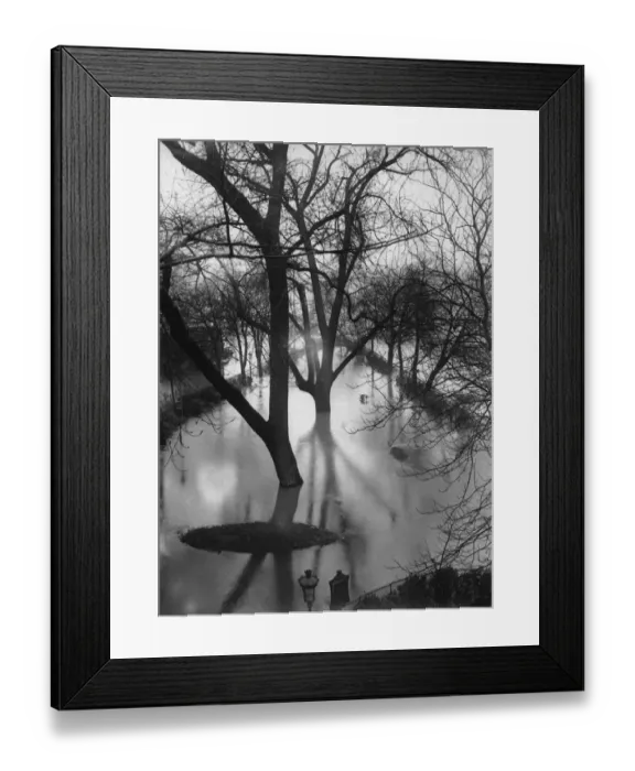 Framed Print : Water Garden Framed Print : Water Garden