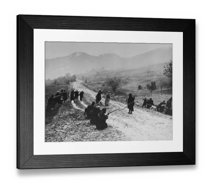 Framed Print : Balkan War Framed Print : Balkan War