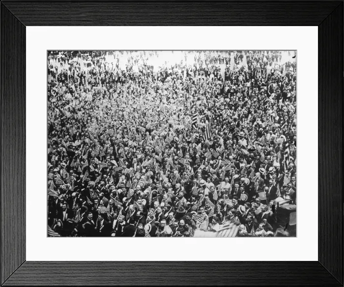 Framed Print : No To Prohibition Framed Print : No To Prohibition