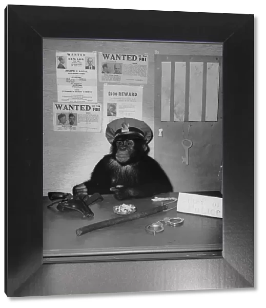 Chimp Of Police