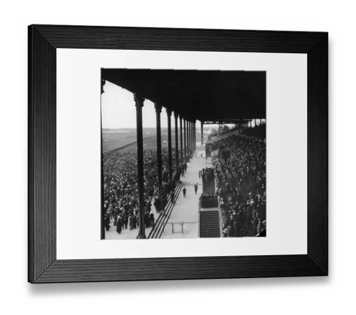 Framed Print : Racing At Belmont Park Framed Print : Racing At Belmont Park