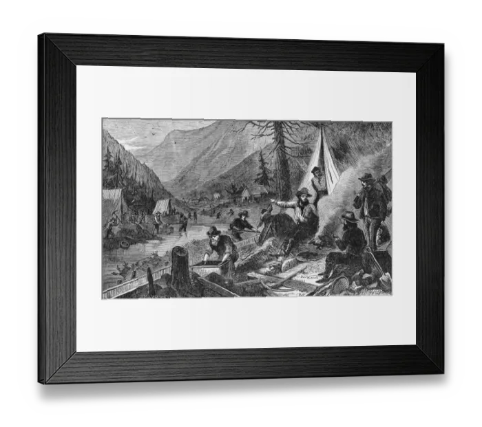 Framed Print : California Gold Rush Framed Print : California Gold Rush