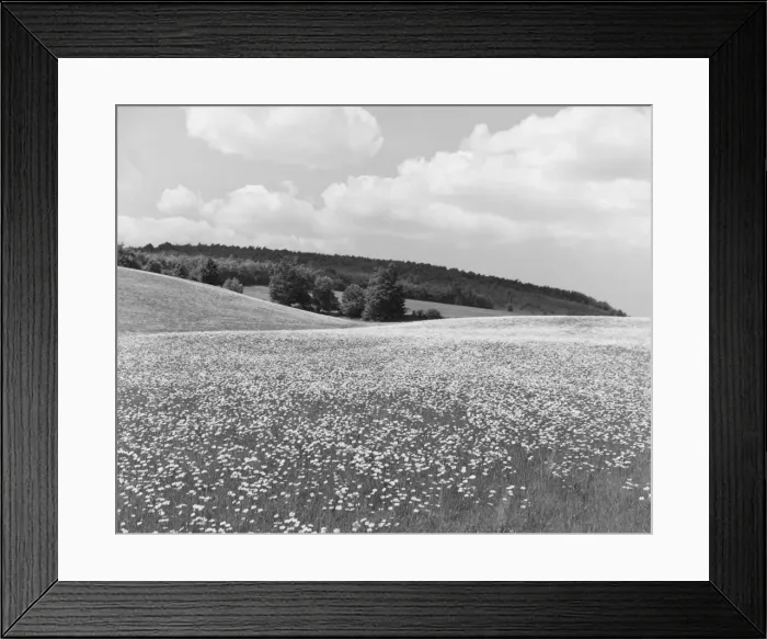 Framed Print : Picturesque Landscape Framed Print : Picturesque Landscape