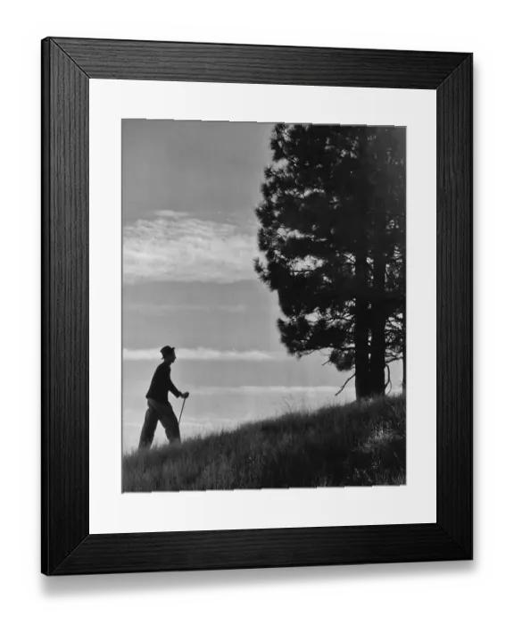 Framed Print : Taking A Walk Framed Print : Taking A Walk