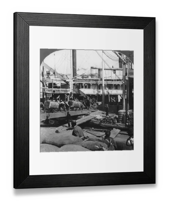 Framed Print : Unloading Cotton Framed Print : Unloading Cotton