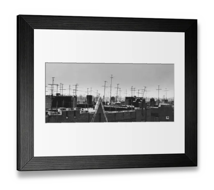 Framed Print : Television Antennae Framed Print : Television Antennae