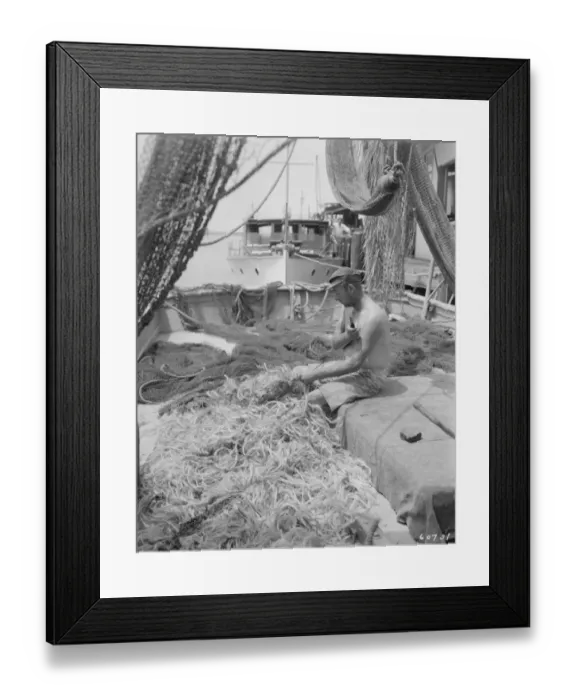 Framed Print : Shrimping In The US Framed Print : Shrimping In The US